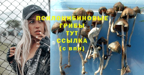 прущий лед Протвино