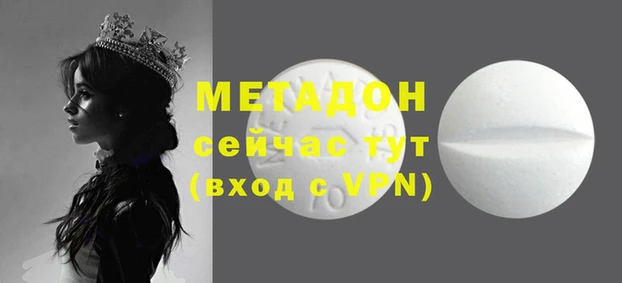 прущие грибы Алексин