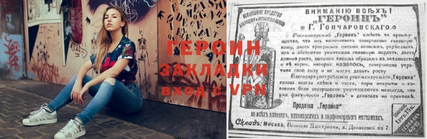 прущие грибы Алексин