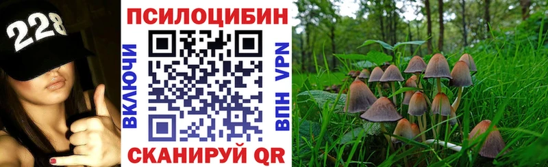 Галлюциногенные грибы Psilocybe  Николаевск-на-Амуре 